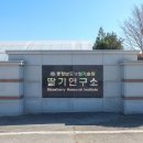 부적면사무소 이미지