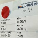 하늘쓰의 응급제왕 _ 구미 차병원 제왕절개후기
