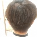 쎄미헤어 이미지