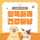 똑똑펫