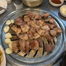 좋은고기 소장군 이미지