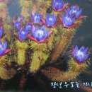 우포늪생태공원 이미지