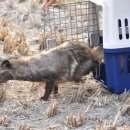 서울시 야생동물 구조관리센터 이미지