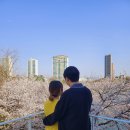 송파나루(문화실험공간 호수) | 석촌호수 벚꽃 포토존 문화실험공간 호수 다녀온 후기 ❣️주차요금,입장료❣️ (25.4.8)