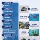 친구 | 세부 3월 날씨 세부 고래상어 모알보알 세친구투어 후기