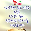 100세의료기 이미지
