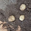 무지개빛농장 이미지