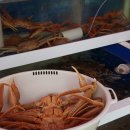 나이스식자재마트 - 북구 침산남로 122-6 | 나이스식자재마트