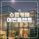 어반플랜트 수영 이미지