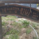 계영당 민박 이미지