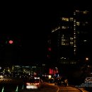 워커힐 - 부여군 정림로 47-42 | 워커힐