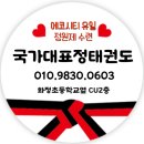 국가대표 정태권도 이미지