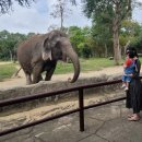 월드아시아마트성서 | 다낭 여행 2편 | 빈원더스·롯데마트·인생반미·카페·해산물 맛집 솔직 후기