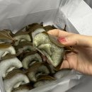 동백5로 | 용인떡집 설송원 동백본점 망개떡세트M 후기 망개떡 냉장,냉동 보관방법