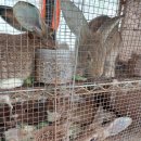 범안로21번길 이미지