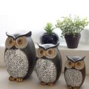 부엉이랜드 이미지