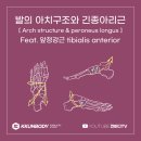 껀바디(kkunbody) 네이버블로그