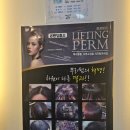 안양 동편마을미용실 벨벳헤어 인덕원 복구매직, 복구펌