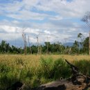 화전농장 이미지