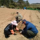 아름농장 이미지