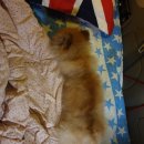 컨츄리 노래연습장 이미지