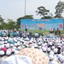 삼기분회 이미지