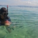 토야푸드 이미지