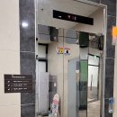 플로라그루밍독 이미지