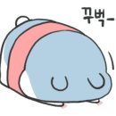 난난플라워 이미지