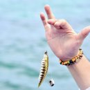 레아워터스포츠 | 세부 여행 3박 5일 단독투어 패키지 제이파크 리조트 추천