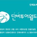 단비여행사 네이버블로그