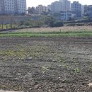 제주공감공인중개사사무소 이미지