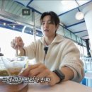진도이어라