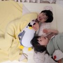 아리통상 이미지