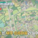 제주도집 네이버블로그