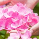 우아한 노년을 위한 품격있는 대화법 이미지