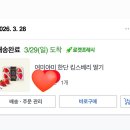추천] 임산부 언니 눈이 0_0 커진 역대급 당도! '여미야미 한단 킹스베리 딸기' 솔직후기 (부모님 효도템)