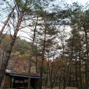 갈천훼밀리리조트 이미지