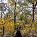 미금로25 이미지