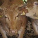 차오름농장 이미지