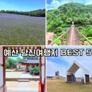 당진야생화 | 의외의 힐링 스팟! 충남 예산 당진 6월 가볼만한 곳 BEST 5