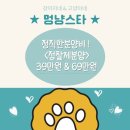 멍냥멍냥 이미지