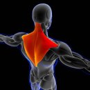 중부한의원 이미지