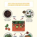 그림책이 궁금해 이미지