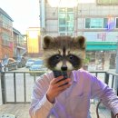 짧고 굵게 맛보고 온 1박 2일 강릉 맛집 코스_강릉중앙시장 (주차), 강릉닭강정 (웨이팅), 팡파미유...