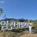 망향비빔국수 파주점 | 25년 10월) 파주 망향비빔국수 본점&amp;임진강 댑싸리공원 후기 !