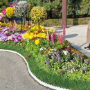 한남 문학분맥 1구간 호구포역~듬배산~오봉산~중경산~바진이산~뒷동산~경신산~한남 만월산~중앙공원~석바위~수봉산~도화역 이미지
