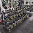 부평 프리웨이트 헬스 PT 이미지