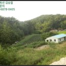 지수면-3 이미지