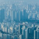 송백시장 이미지